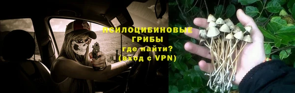молекула духа Алзамай