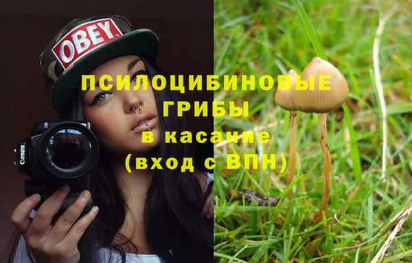 трава Алексеевка