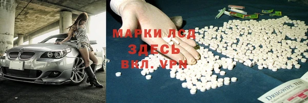 стафф Арсеньев