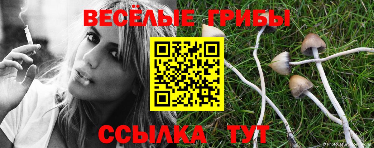 Галлюциногенные грибы прущие грибы  Псилоцибиновые грибы мухоморы  Новоалександровск  Вход с VPN 